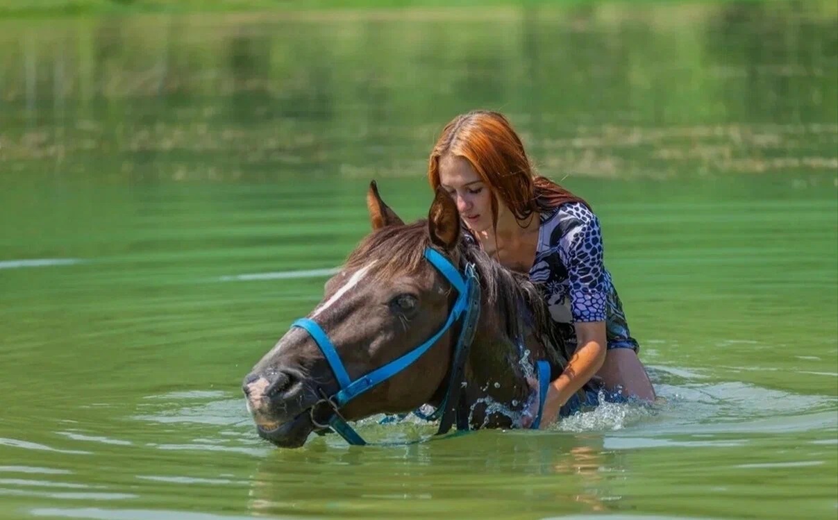 конные прогулки в ялте (1)